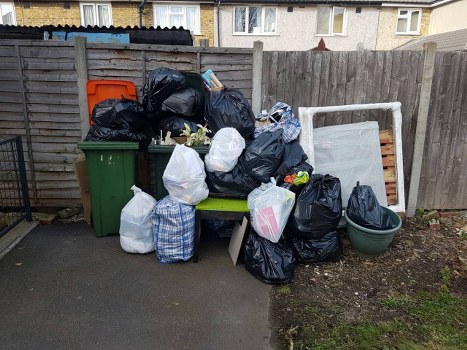 Clean and tidy Putney garden with professional waste removal
